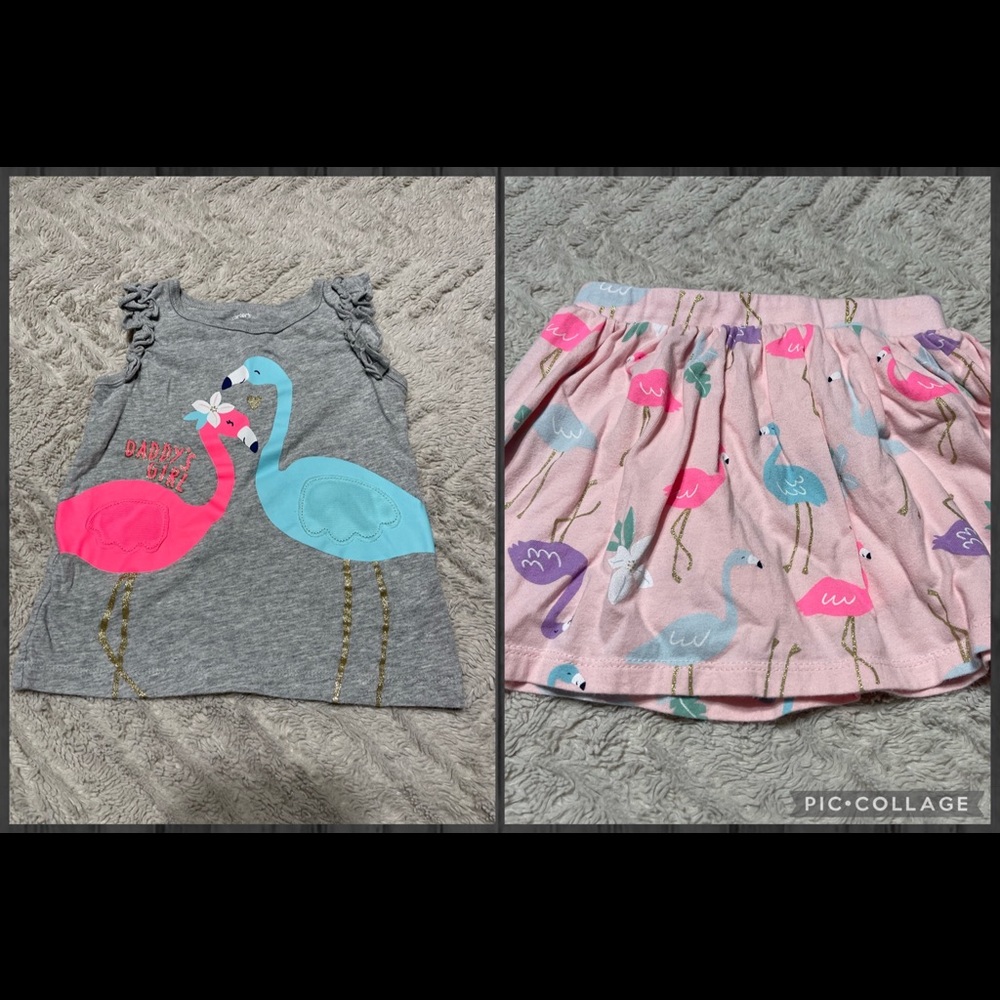 3T girls pink and light blue flamingo shirt and skort set